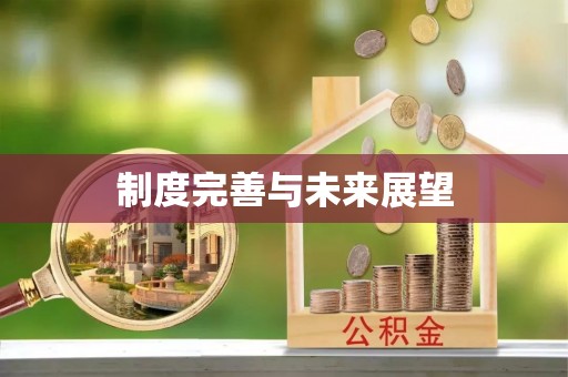 错那制度完善与未来展望