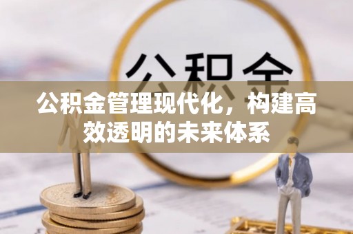 错那公积金管理现代化，构建高效透明的未来体系