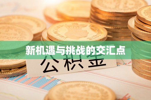 错那新机遇与挑战的交汇点