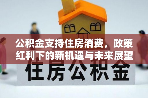 错那公积金支持住房消费，政策红利下的新机遇与未来展望