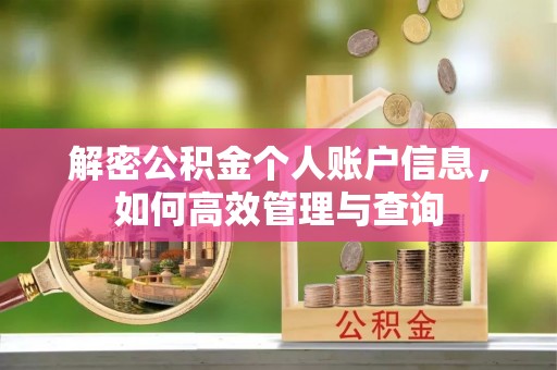 错那解密公积金个人账户信息，如何高效管理与查询