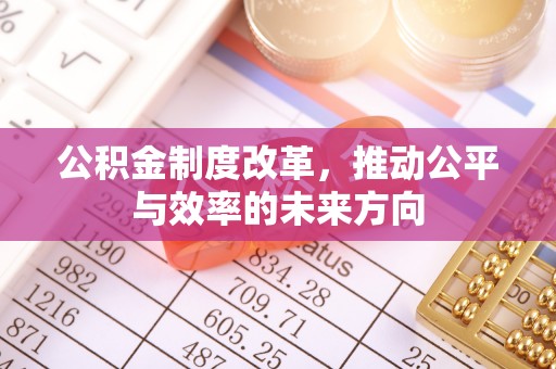 错那公积金制度改革，推动公平与效率的未来方向