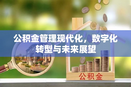错那公积金管理现代化，数字化转型与未来展望
