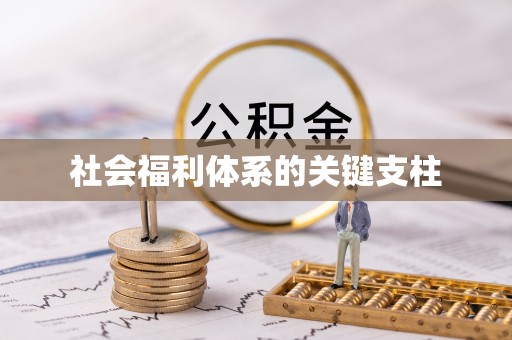 错那社会福利体系的关键支柱