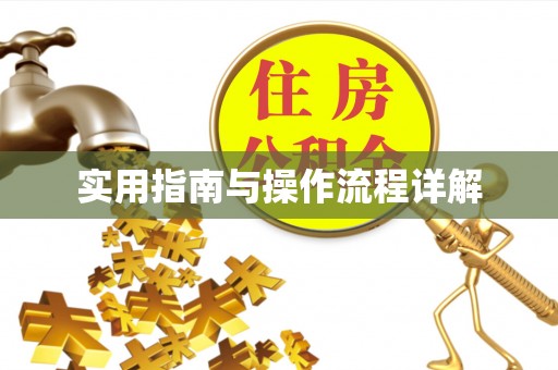 错那实用指南与操作流程详解