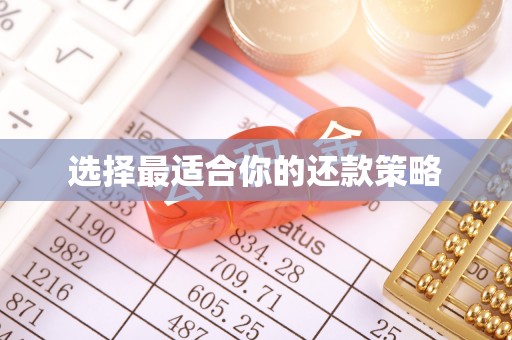 错那选择最适合你的还款策略